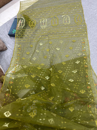 olive jamdani