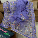 Light Blue Muslin Saree